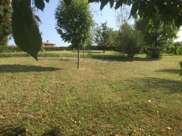 Casa In Campagna _Lori Вольта-Мантована Екстер'єр фото